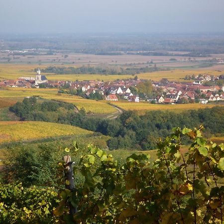 Hotel A La Vignette - Colmar-Nord Saint-Hippolyte  Ngoại thất bức ảnh