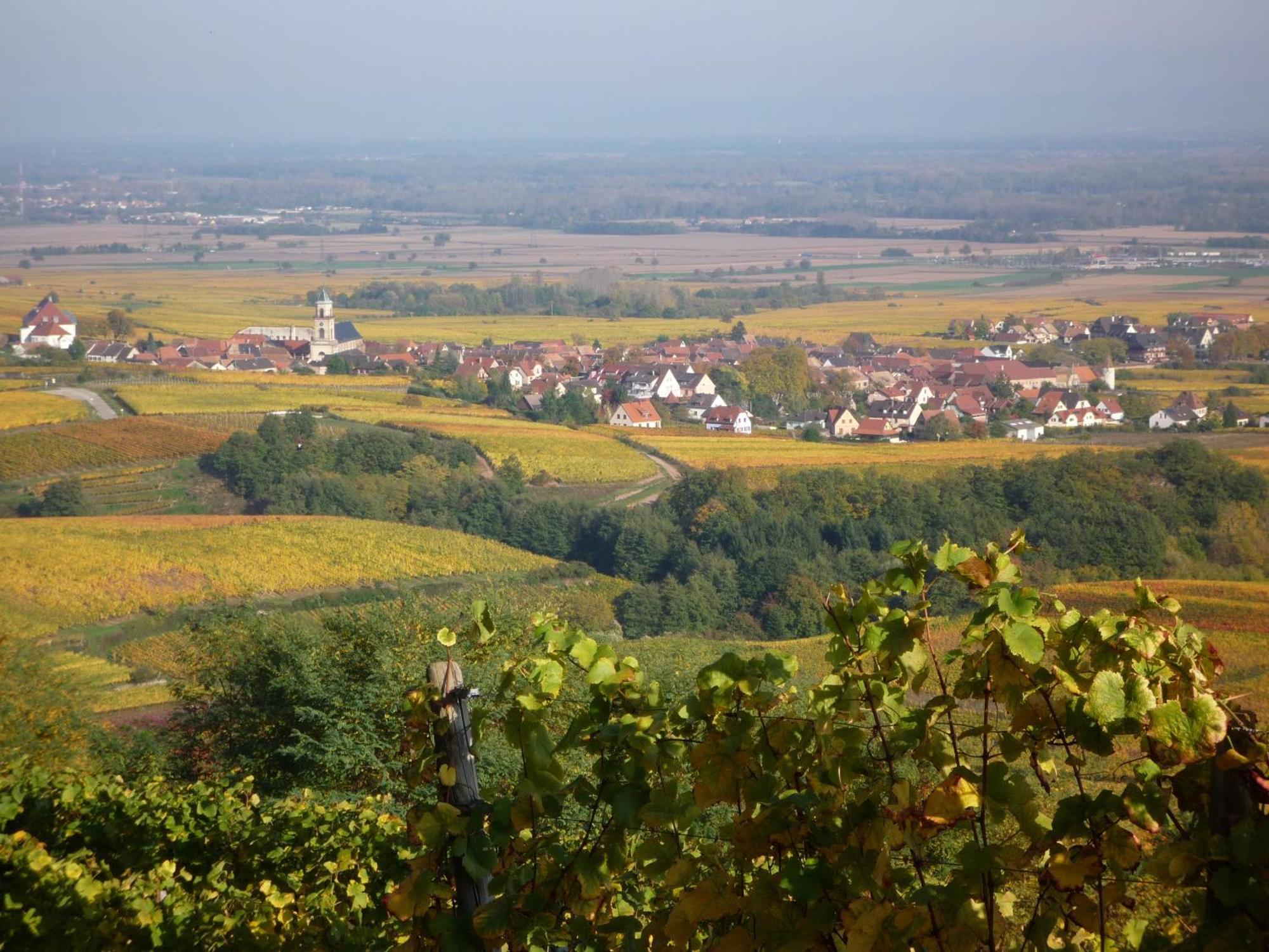 Hotel A La Vignette - Colmar-Nord Saint-Hippolyte  Ngoại thất bức ảnh