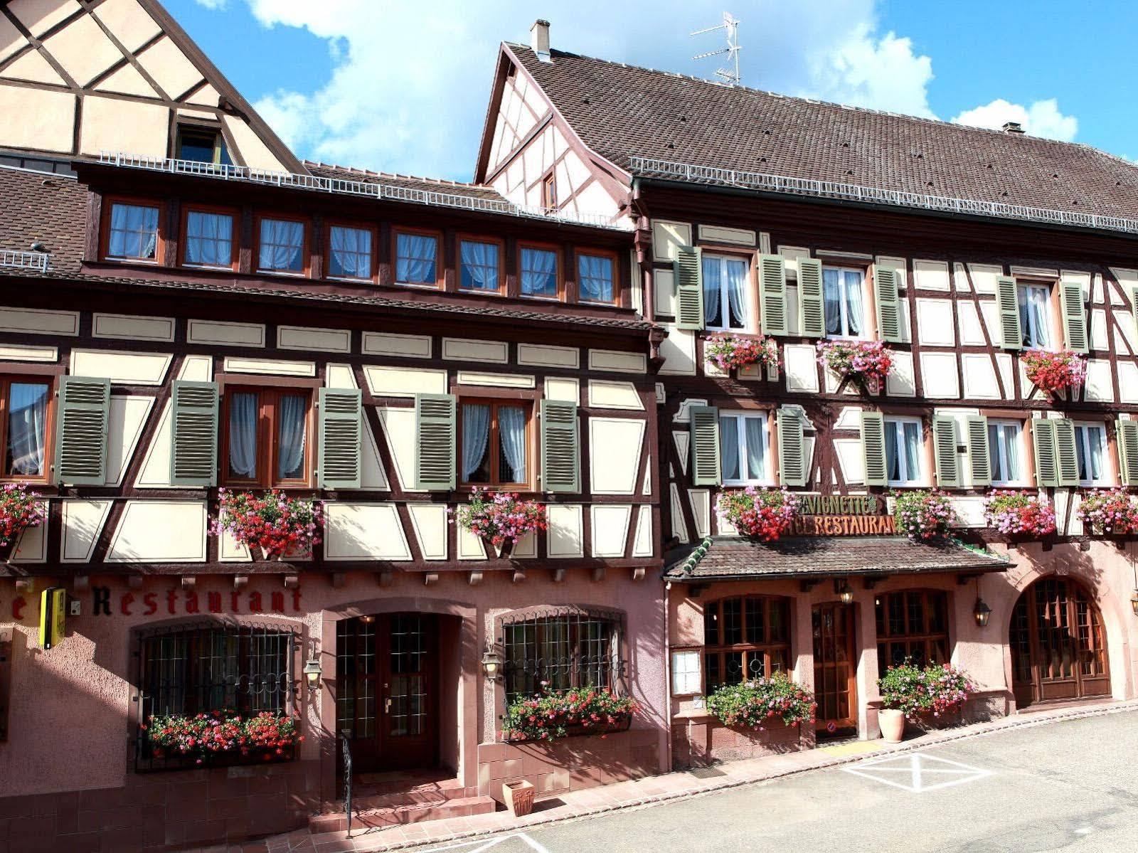 Hotel A La Vignette - Colmar-Nord Saint-Hippolyte  Ngoại thất bức ảnh